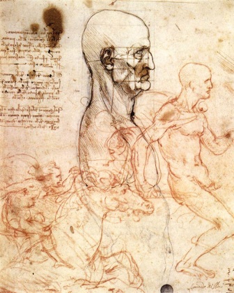 da vinci study of anatomy